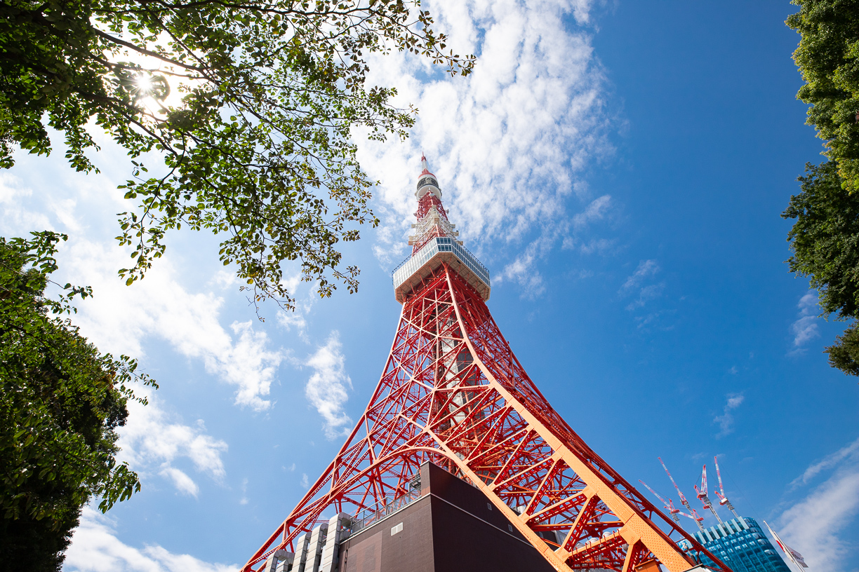 東京タワー  徒歩約5分（約400m）